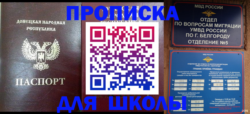 прописка для работы в Бородино